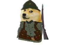 Brazil Doge ww2 army