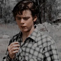 Ponyboy Curtis