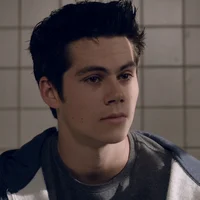 Void Stiles
