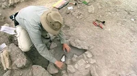 Archaeologist