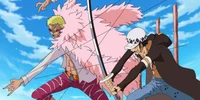 Doflamingo dad au