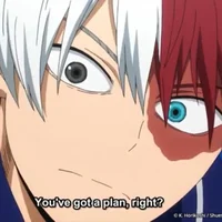 Shoto Todoroki