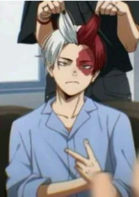 Shoto todoroki