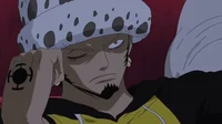 Trafalgar Law