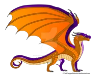 Eucalyptus Tangerine