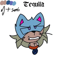 Tequila The Cat