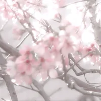 0 RULES AND REQUESTS