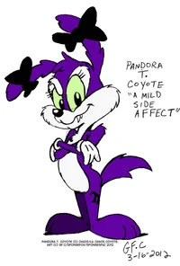 Pandora coyote