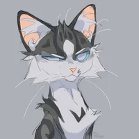 Jayfeather 