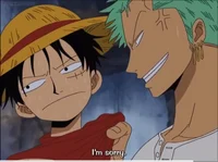 Luffy and Zoro