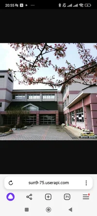 Japanese School