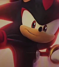 SHADOW - HEDGEHOG 