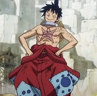 Luffy -WANO-