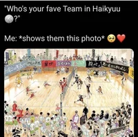 Haikyuu cats