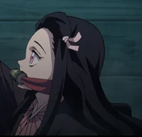 Nezuko Kamado 