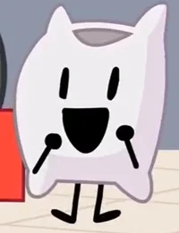 Pillow -EvergreenAU-