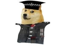 Inspector doges BDP