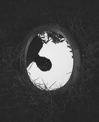 Parallel Universe RP