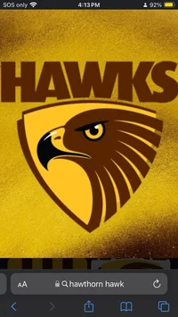 Hawthorn Hawks