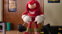 Knuckles The Echidna
