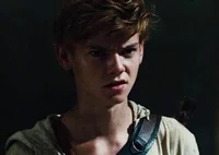 Newt