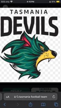 Tasmania Devils