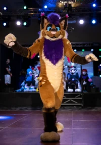 Strobes Fursuit 