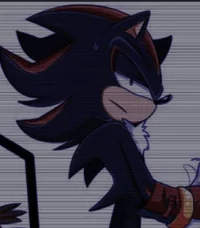 SHADOW - HEDGEHOG 