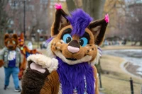 Strobes Fursuit 
