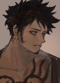 Law