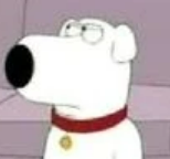 Brian Griffin