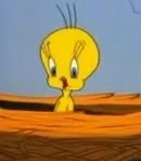 Tweety Bird