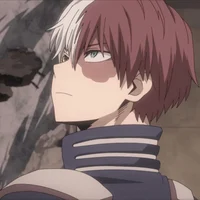 Shoto Todoroki 