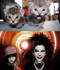 Tom and Bill Kaulitz