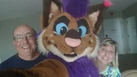 Strobes Fursuit 