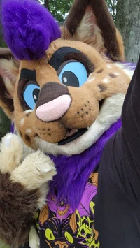 Strobes Fursuit 