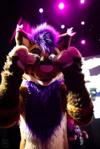 Strobes Fursuit 