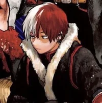 Idol Shoto Todoroki 