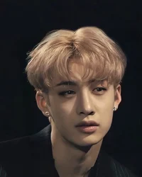 BangChan 