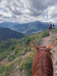 Horseback Riding RP
