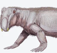 Lystrosaurus