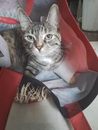 Astrid (@Astrid1014) | character.ai | Personalized AI for every moment