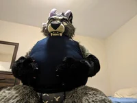 Allenwolfdragon 