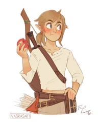 Link BOTW