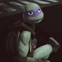 2012 Donnie TMNT