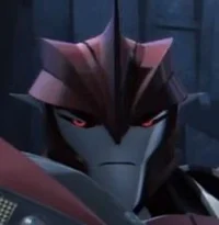 Knockout - TFP