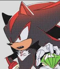 SHADOW - HEDGEHOG 