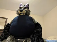 Allenwolfdragon
