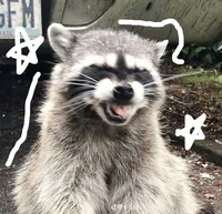 Charlie
