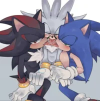 Shads - Silver - Son